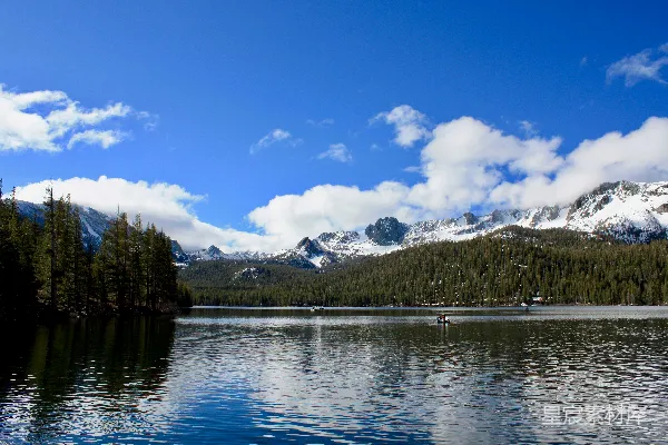 高清摄影 河对岸山与pine trees的风景摄影