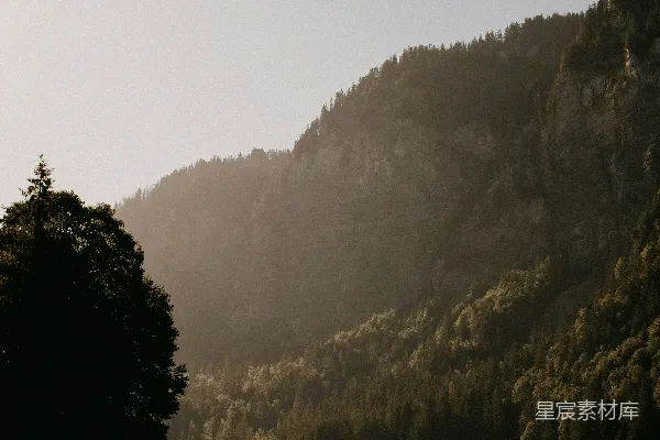 高清摄影 被山和树环绕的水域