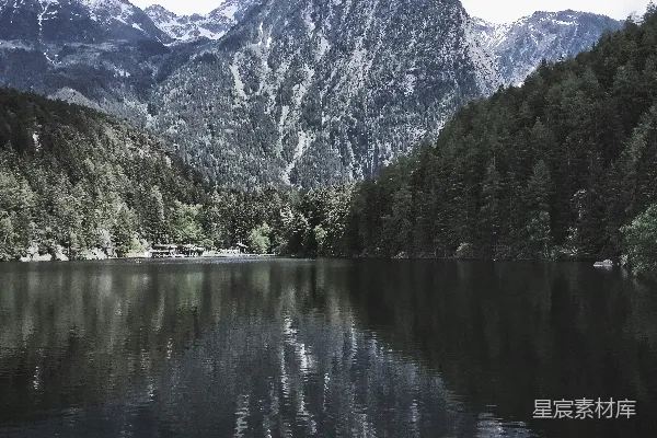 高清摄影 树丛附近的波纹水面