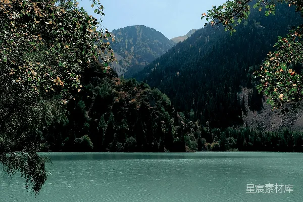 高清摄影 被树木和山环绕的一片水域