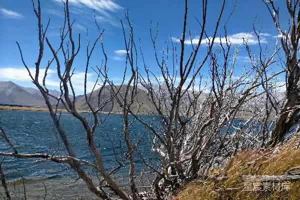 高清摄影 围绕在树木和草地之间的水域