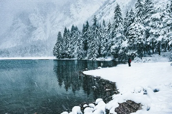 高清摄影 雪覆盖的松树近Frozen湖冻结的水面