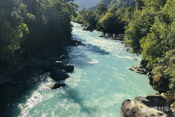 高清摄影 一条河流穿过一片浓绿的森林