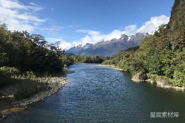 高清摄影 树间白天的水面