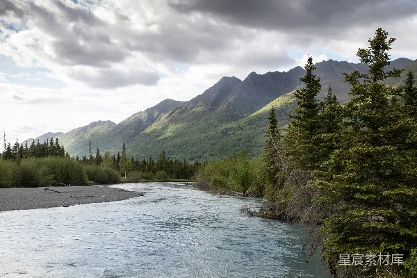 高清摄影 白天绿色树木近湖，天空阴云密布