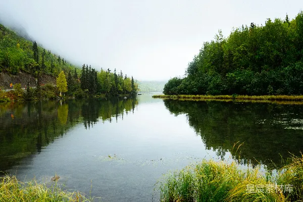 高清摄影 近水边的照片，周围被树木环绕