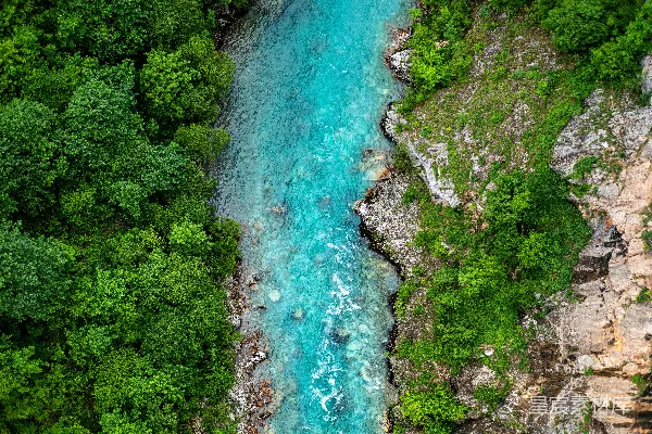 高清摄影 一条河流穿过森林