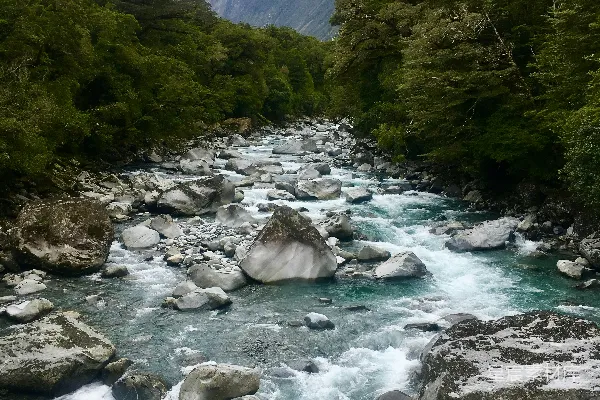 高清摄影 树林之间的湖泊