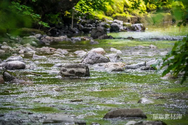 高清摄影 白天河岸边的灰色岩石