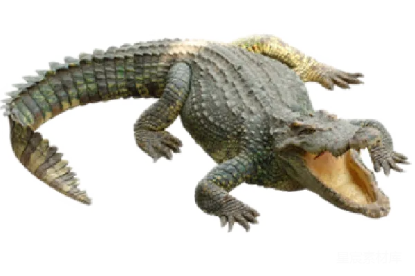 元素素材 PNG
