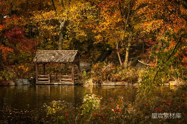 高清摄影 湖畔有小屋的花园