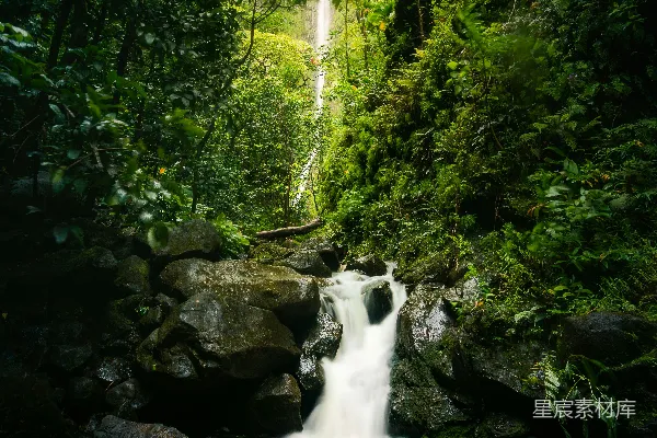 高清摄影 瀑布和森林