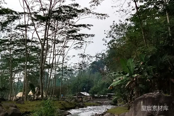 高清摄影 一条河流穿过一片郁郁葱葱的森林