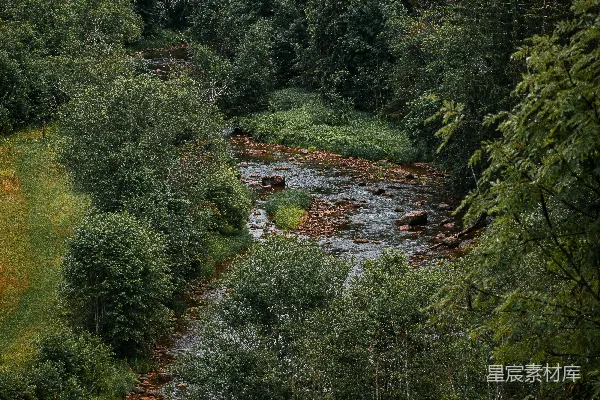 高清摄影 森林中的小屋