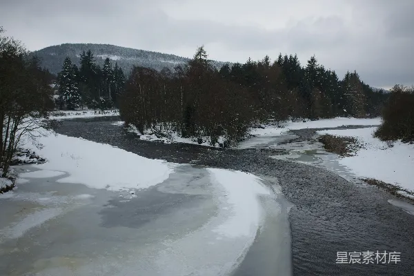 高清摄影 白天覆盖着雪的田野和树木