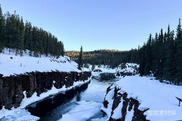 高清摄影 一条河流穿过覆有白雪的森林