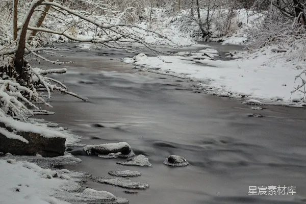 高清摄影 一条河流穿过一片覆盖着白雪的森林
