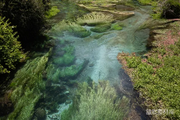 高清摄影 水上树木环绕区域的航拍摄影