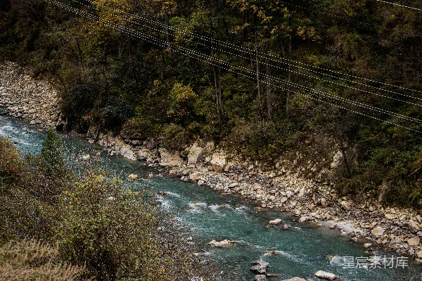高清摄影 一条河流穿过一片浓绿的森林