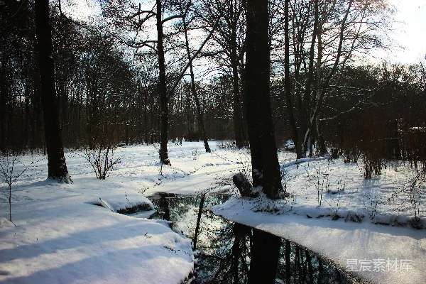 高清摄影 白雪覆盖的森林中有一条小溪