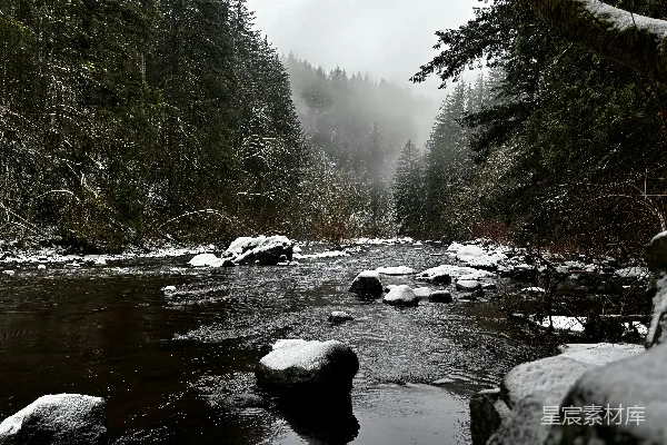 高清摄影 一条河流穿过覆盖着白雪的森林
