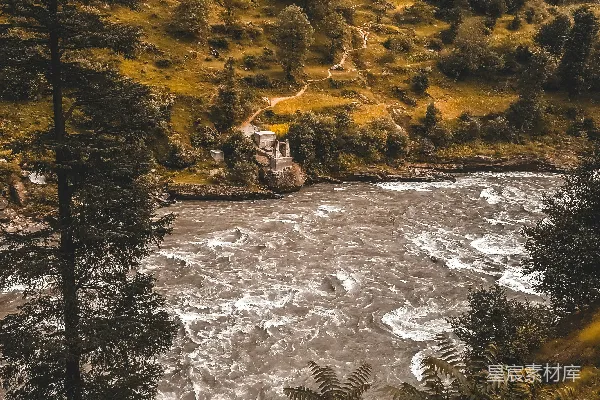 高清摄影 白天河边绿树旁