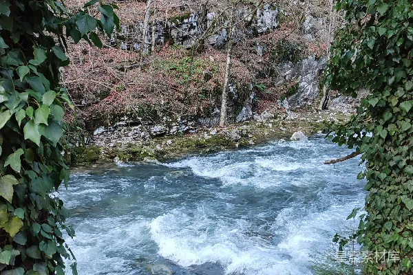 高清摄影 一条河流穿过一片葱郁的森林