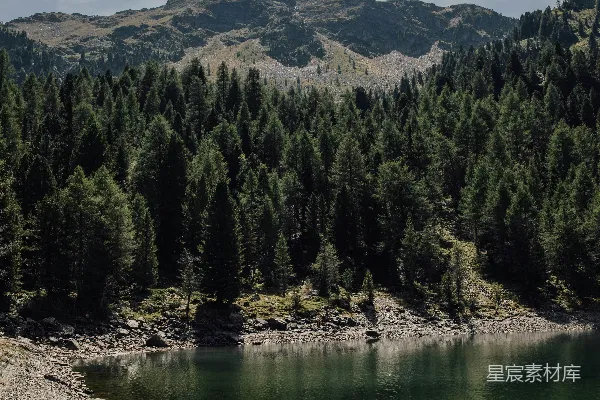 高清摄影 湖畔有树木和山峰作为背景。