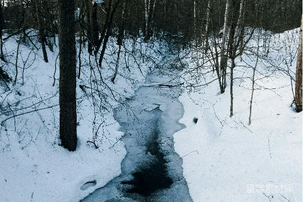 高清摄影 一条溪流穿过覆盖着白雪的森林