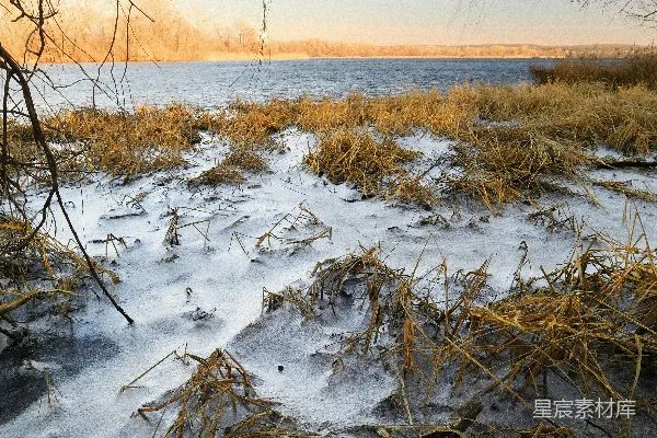 高清摄影 背景中有树木和水面的雪地