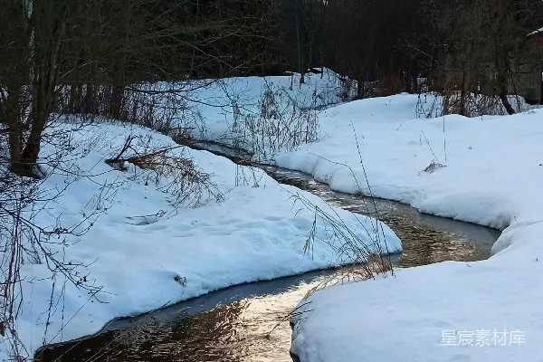 高清摄影 一条小溪穿过覆盖着白雪的森林
