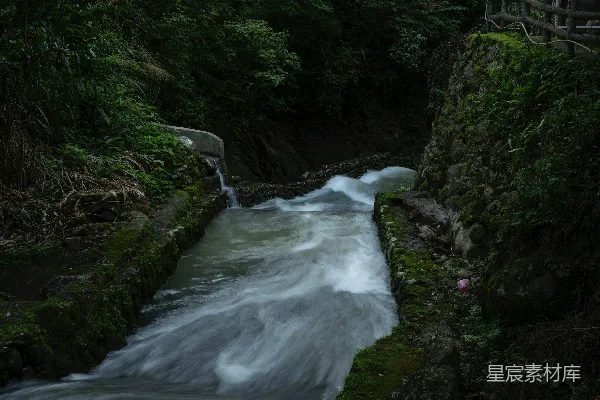 高清摄影 一条河流穿过一片浓绿的森林