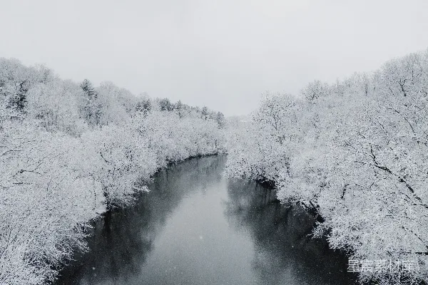 高清摄影 一片被雪覆盖的树木环绕的水域