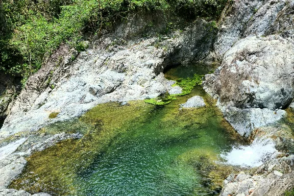 高清摄影 一洼水池被石头环绕着