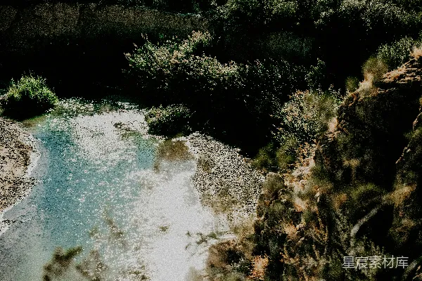 高清摄影 一条河流穿过一片葱郁的森林