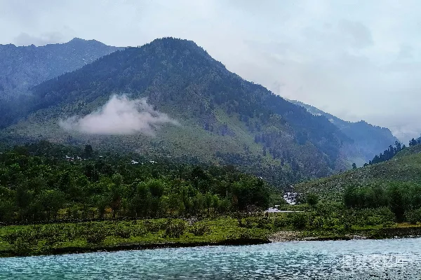 高清摄影 一条河流穿过一片绿意盎然的山谷