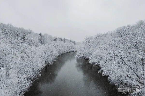 高清摄影 一条河流穿过覆盖着白雪的森林