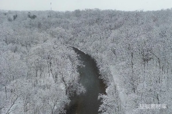 高清摄影 一条河流穿越一片覆盖着白雪的森林