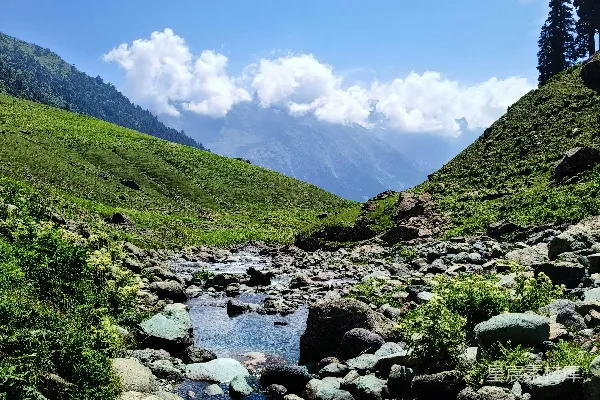 高清摄影 一条溪流穿梭于葱绿的山坡之间
