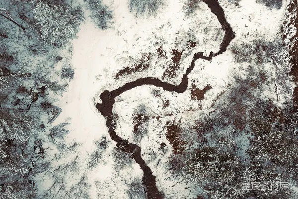 高清摄影 一条河流穿过覆有白雪的森林