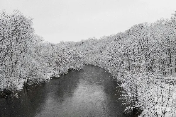 高清摄影 一条河流穿过一片覆雪的森林