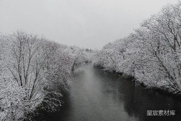 高清摄影 一条河流穿过覆盖着白雪的森林