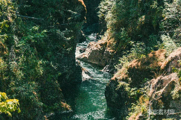 高清摄影 森林中的河流