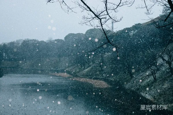 高清摄影 被树木覆盖着白雪的湖泊周边是一片树林