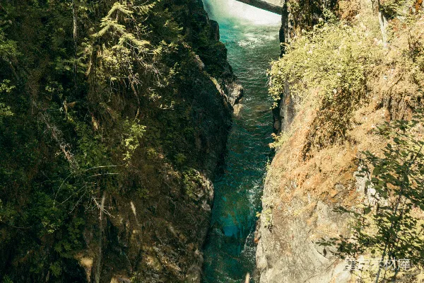 高清摄影 山间小河在白天的流淌