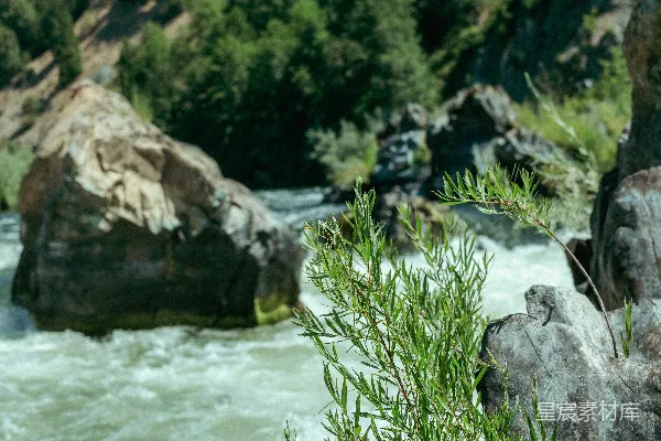 高清摄影 岩石海岸白天的绿草