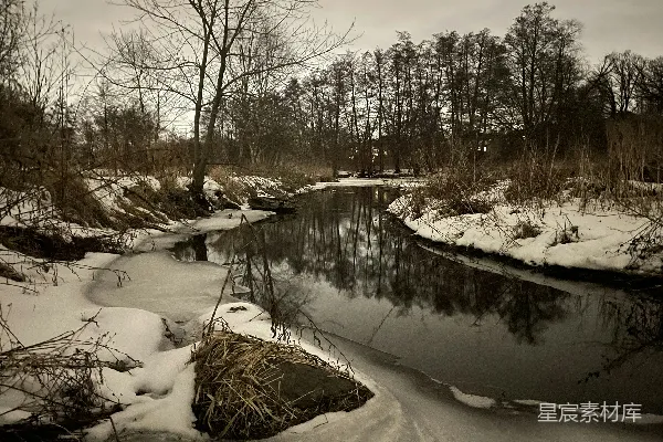高清摄影 一条河流穿过一片覆盖着白雪的森林
