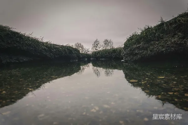 高清摄影 围绕着草地和树木的水域