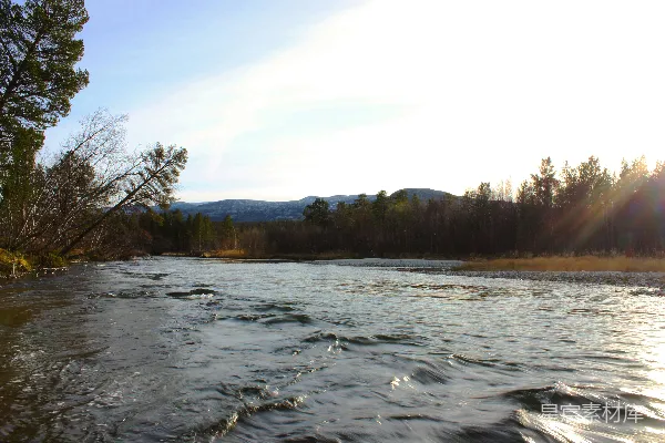 高清摄影 一条河流穿过一片树木繁茂的森林
