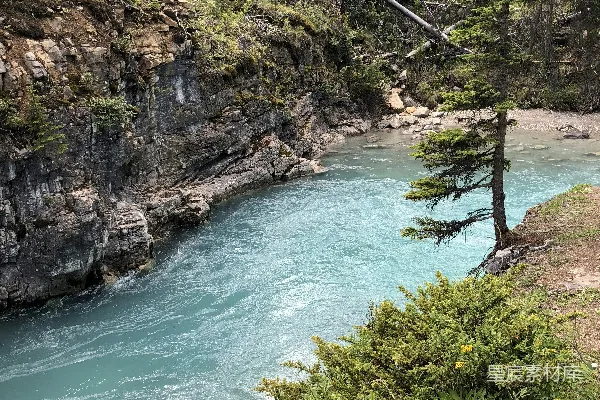 高清摄影 白天森林中的河流